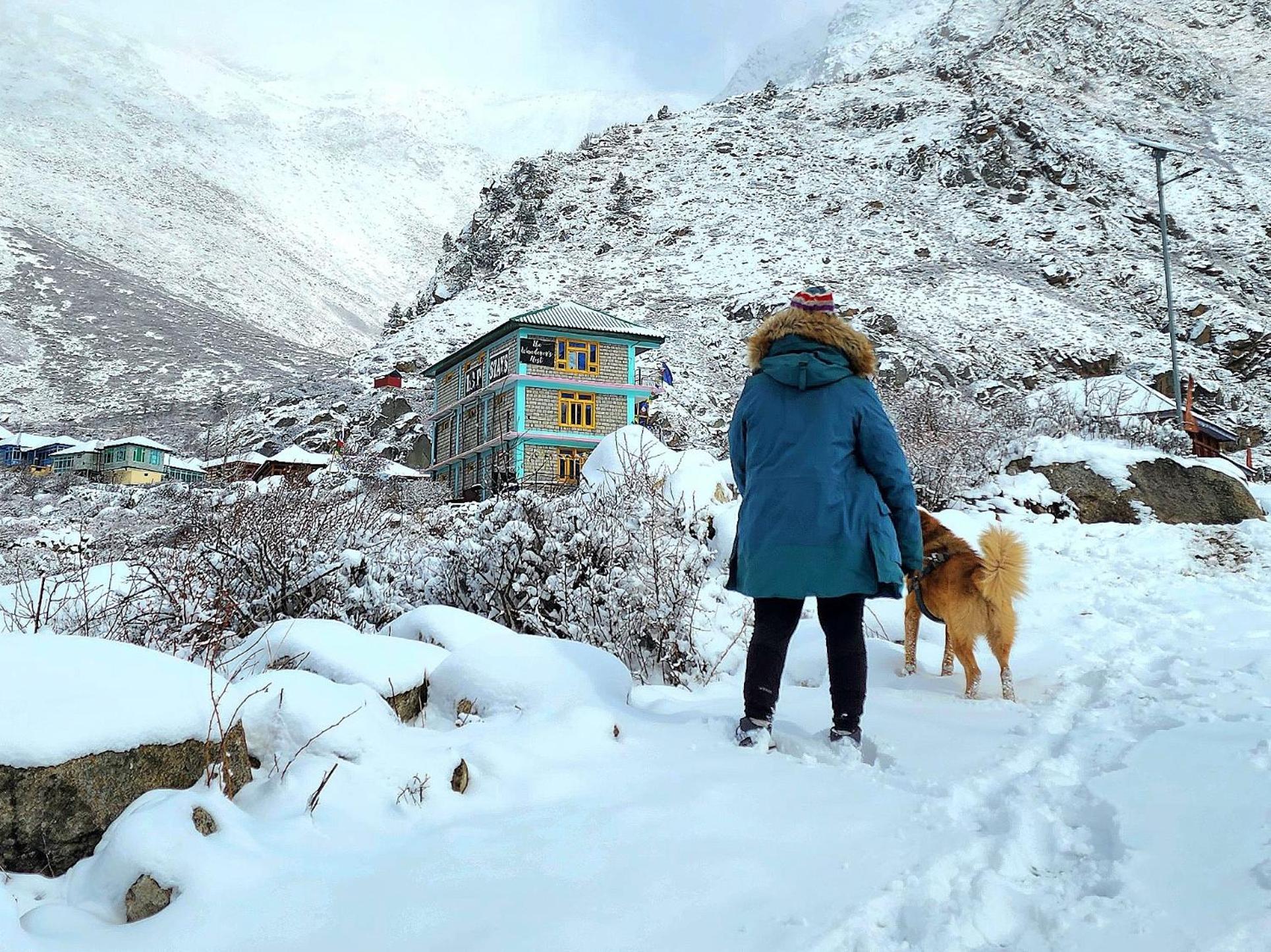 LAP Stays - Wanderer's Nest Chitkul Exterior foto